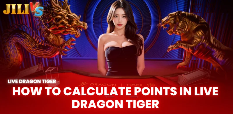 Experience Playing Live Dragon Tiger Jilivs Helps You Play Better 2 how to calculate points in live dragon tiger